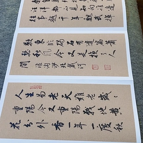 红***里伟人诗词册页作品