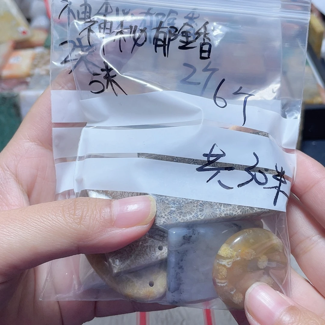 神****硅化珊瑚（珊瑚玉）合金颈饰