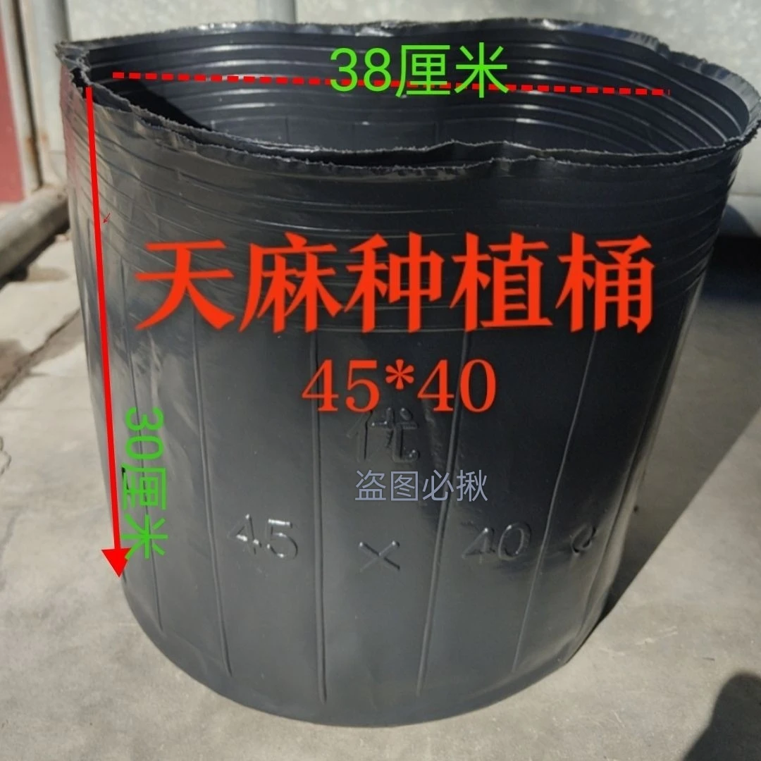 天麻桶装天麻黑色加厚育苗杯天麻专用种植桶结实耐用营养钵