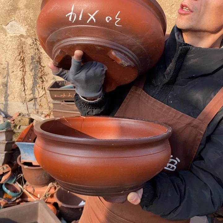 紫砂花盆紫砂艺术学院美术