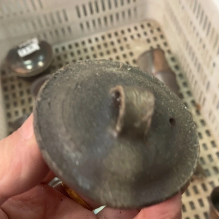 柴烧杯子宝瓶大放漏。