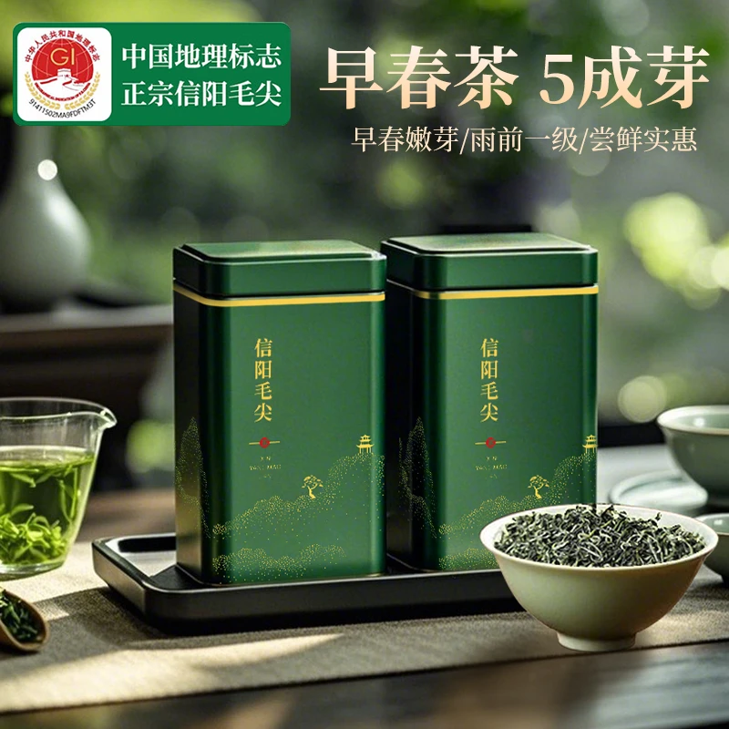 信阳毛尖2025新茶 小叶带芽|绿茶新茶雨前浓香茶叶嫩芽春茶罐装