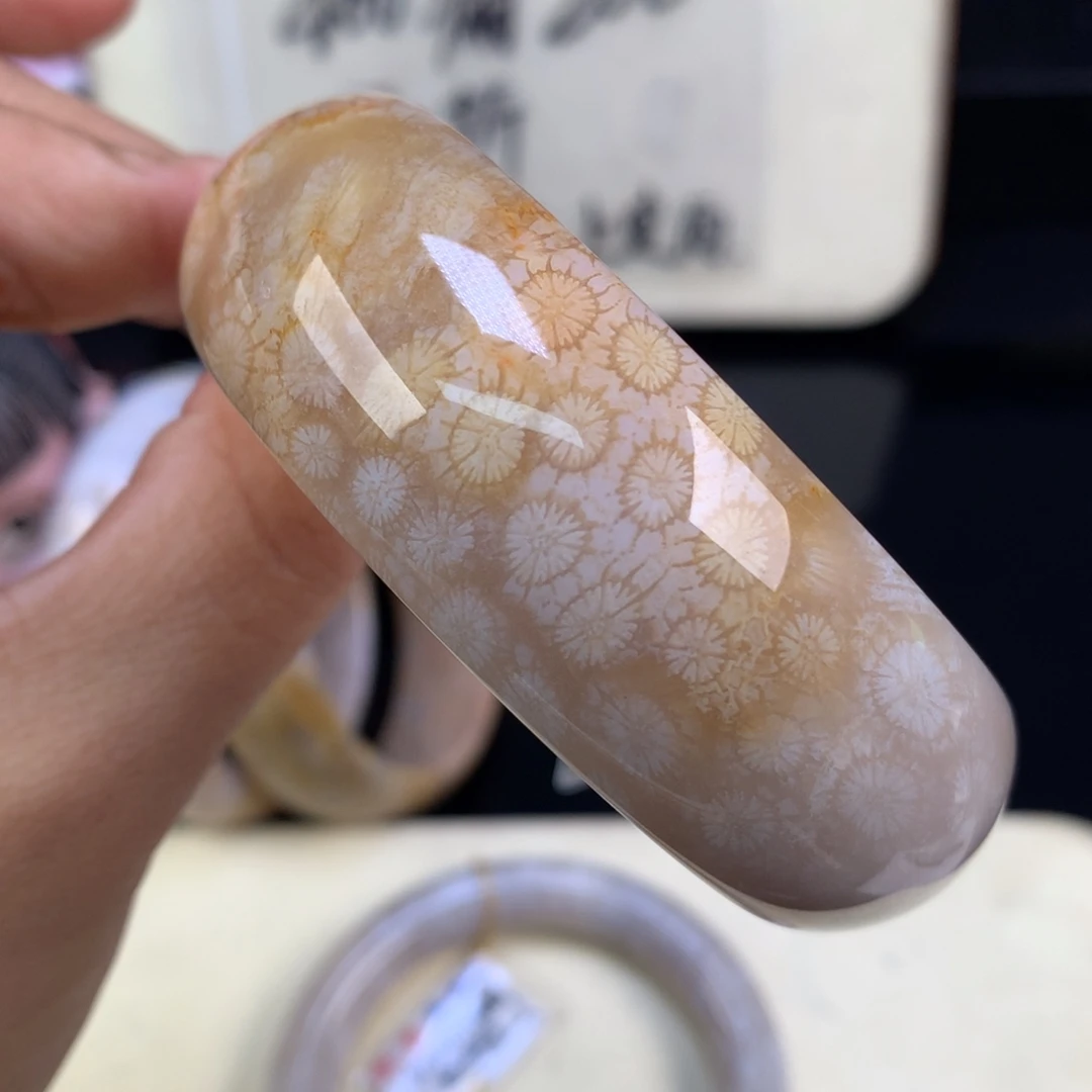 硅化珊瑚（珊瑚玉）未镶嵌颈饰400漏200奶果冻59圈（29号）