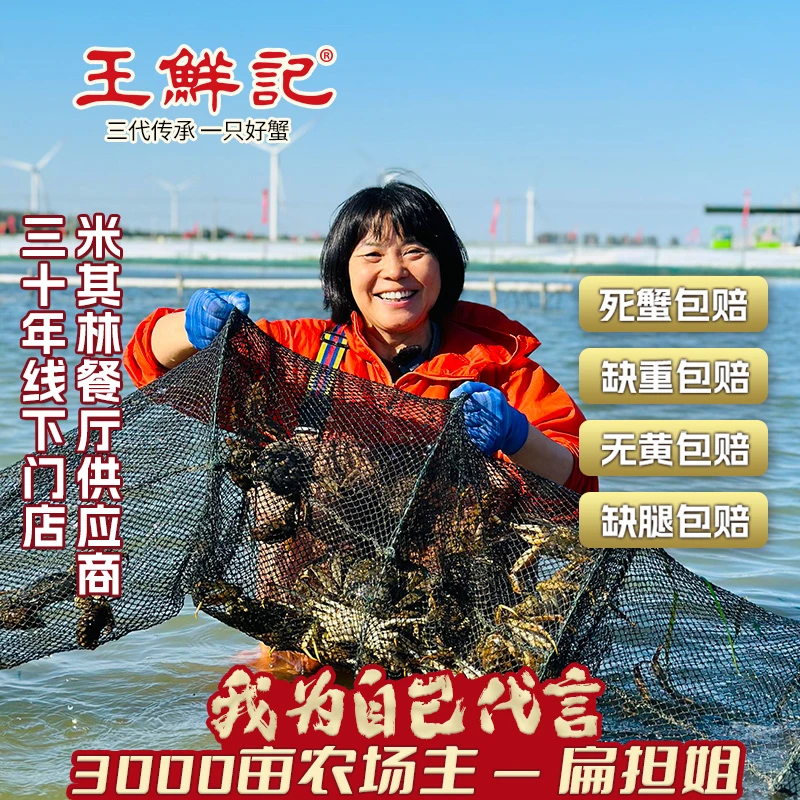 【纯母活蟹礼盒】全母蟹 4.0~4.3两*4/6/8/10只江苏大闸蟹