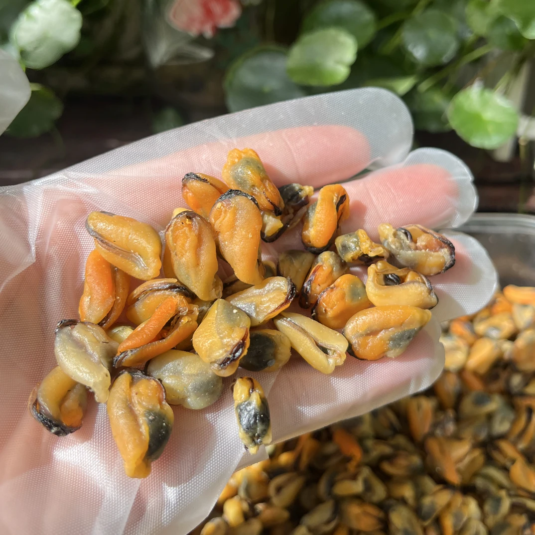 淡菜干青口肉海螺肉煲汤煲粥炒瓜炒菜250g/500g/1000g