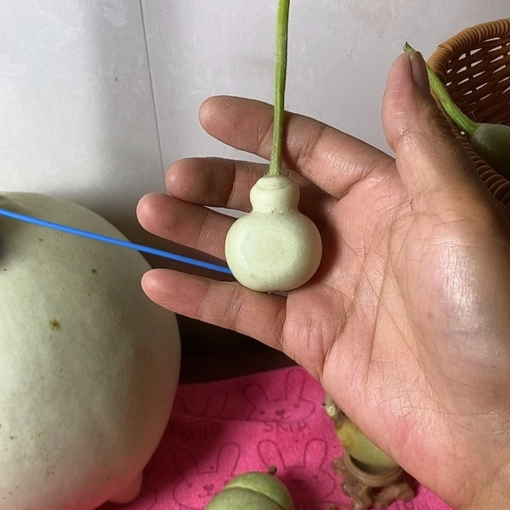 酒***子青皮腰子葫芦手把件