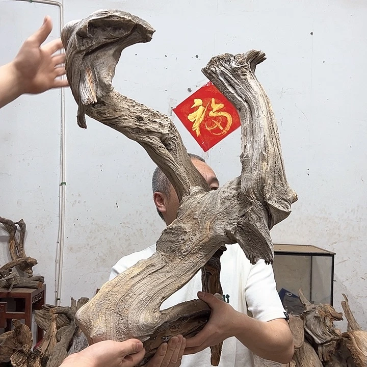 柏木大****长我们的生活也是如此的丰富多彩