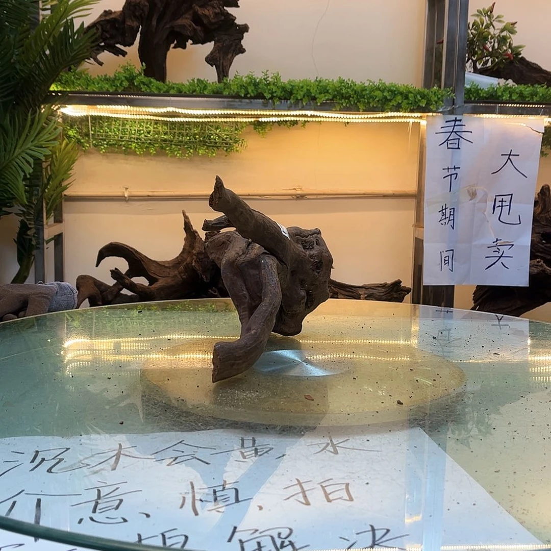 柚木沉木鱼缸造景