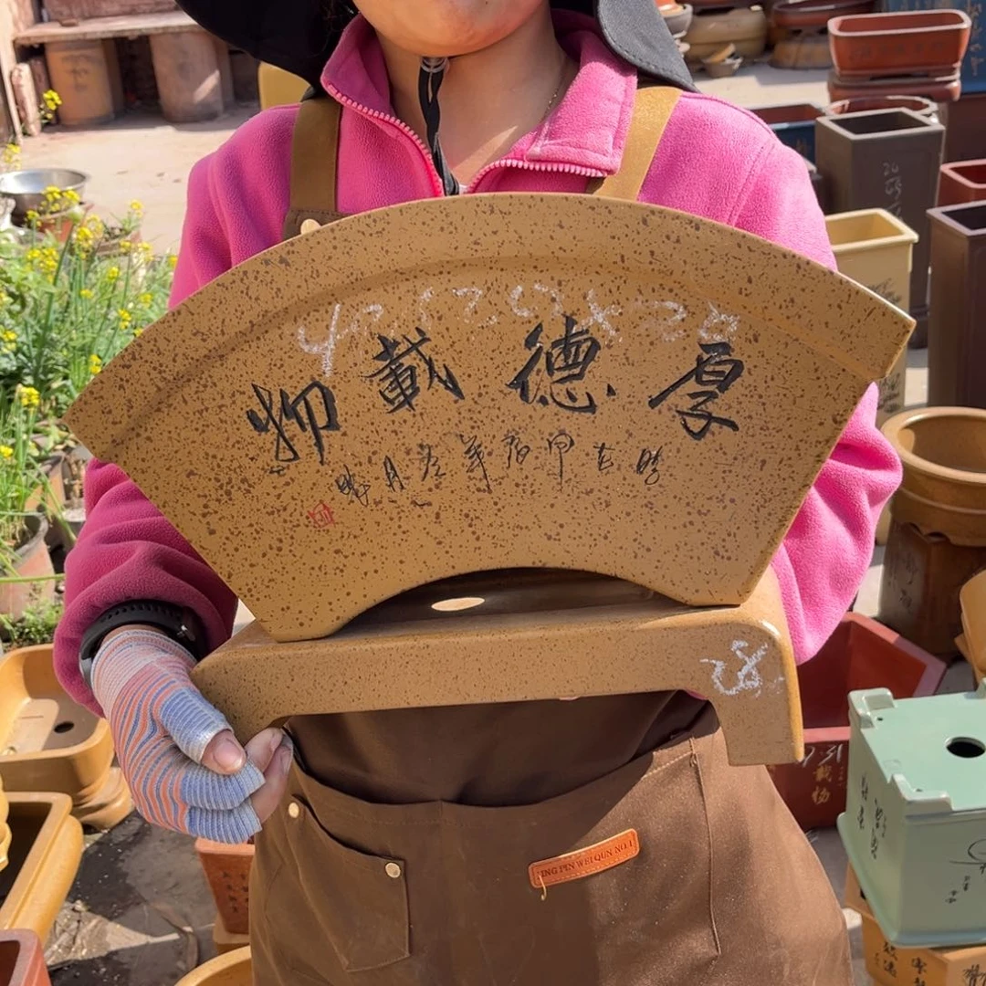 紫砂花盆盆景艺术