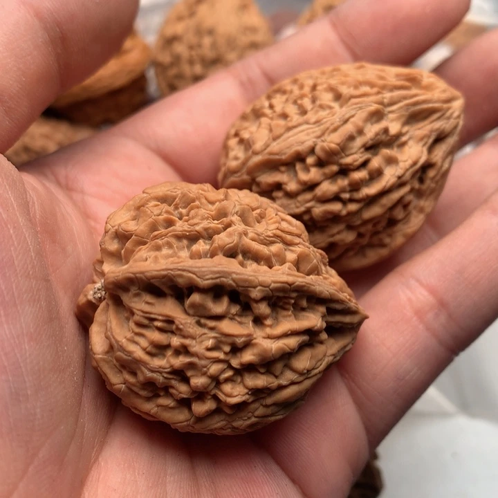 用***4大叶紫檀（黑酸枝木类）