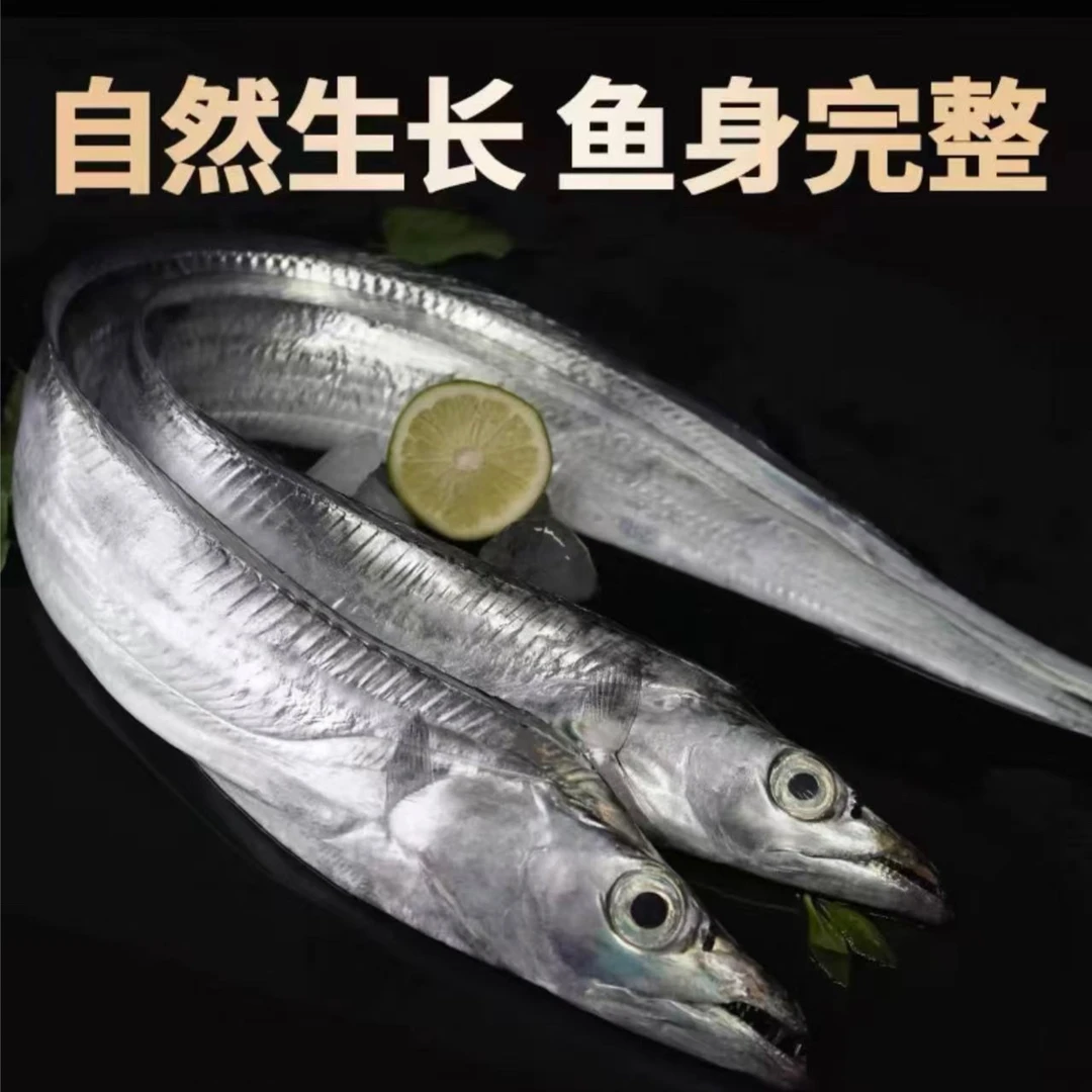 正宗舟山新鲜东海小眼睛带鱼 整条发货 顺丰冷链12