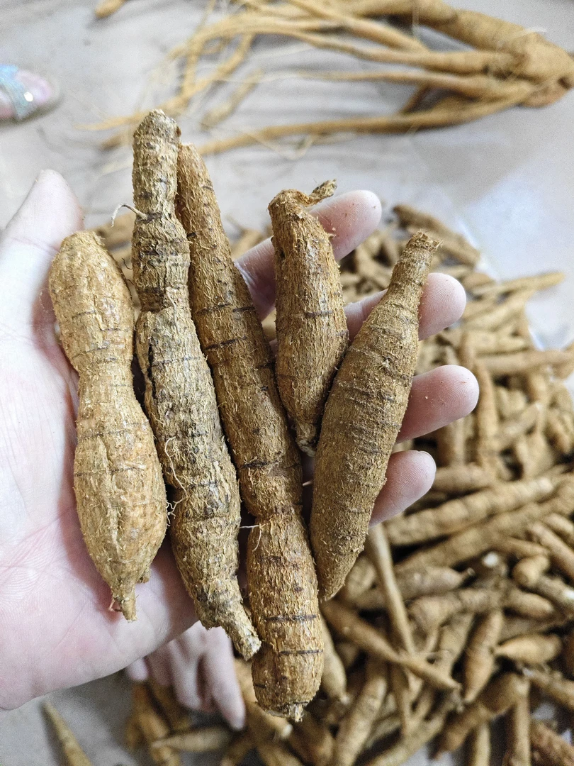 （福利圆牛牛）新鲜牛大力煲汤泡酒好材料2斤