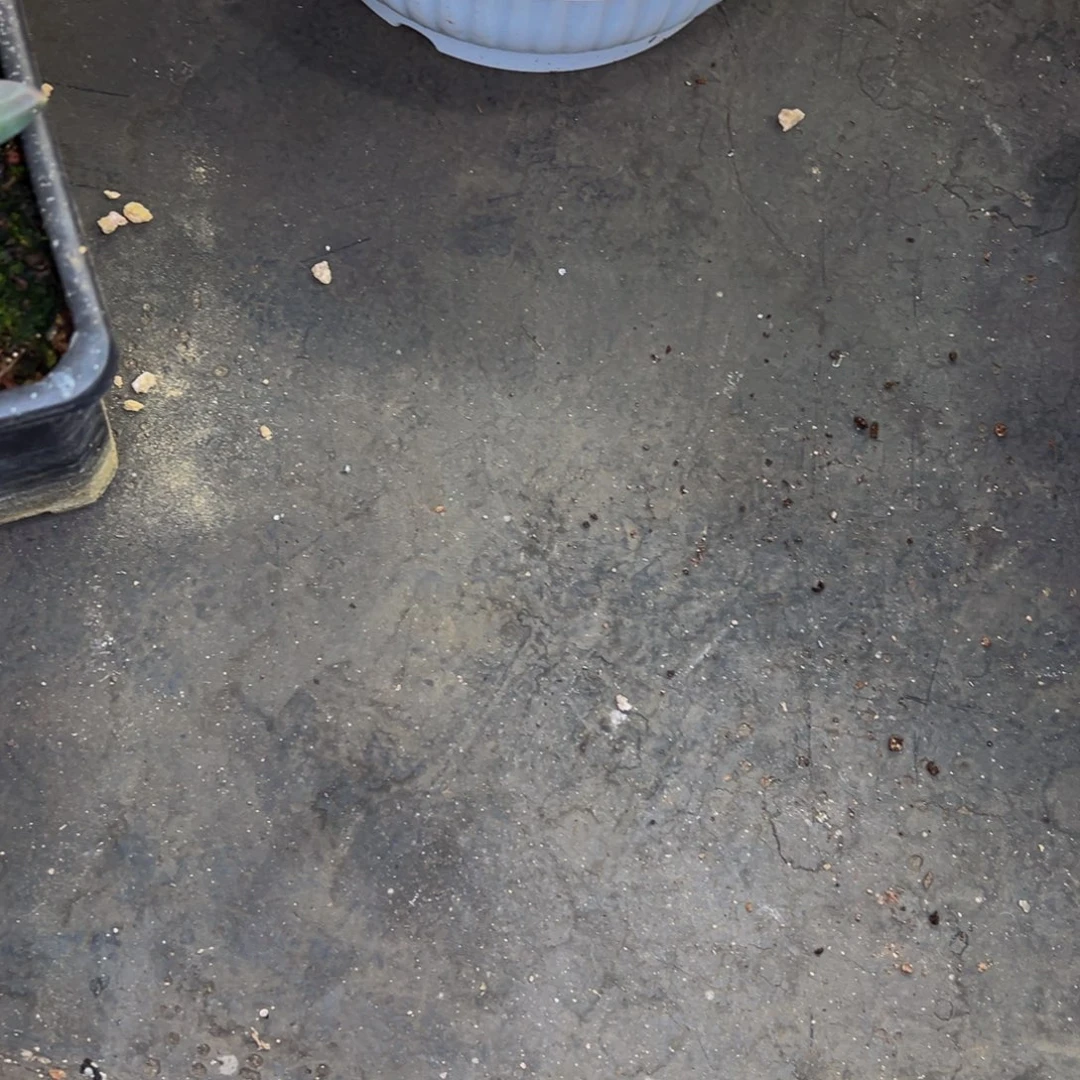 呜呜呜呜呜呜呜呜呜