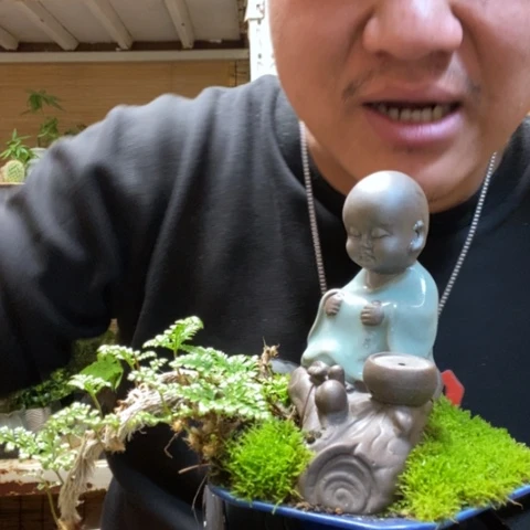 红陶一物一拍所见即所得63