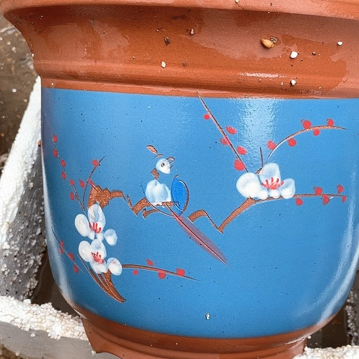 紫砂30点菜金钟花盆花盆