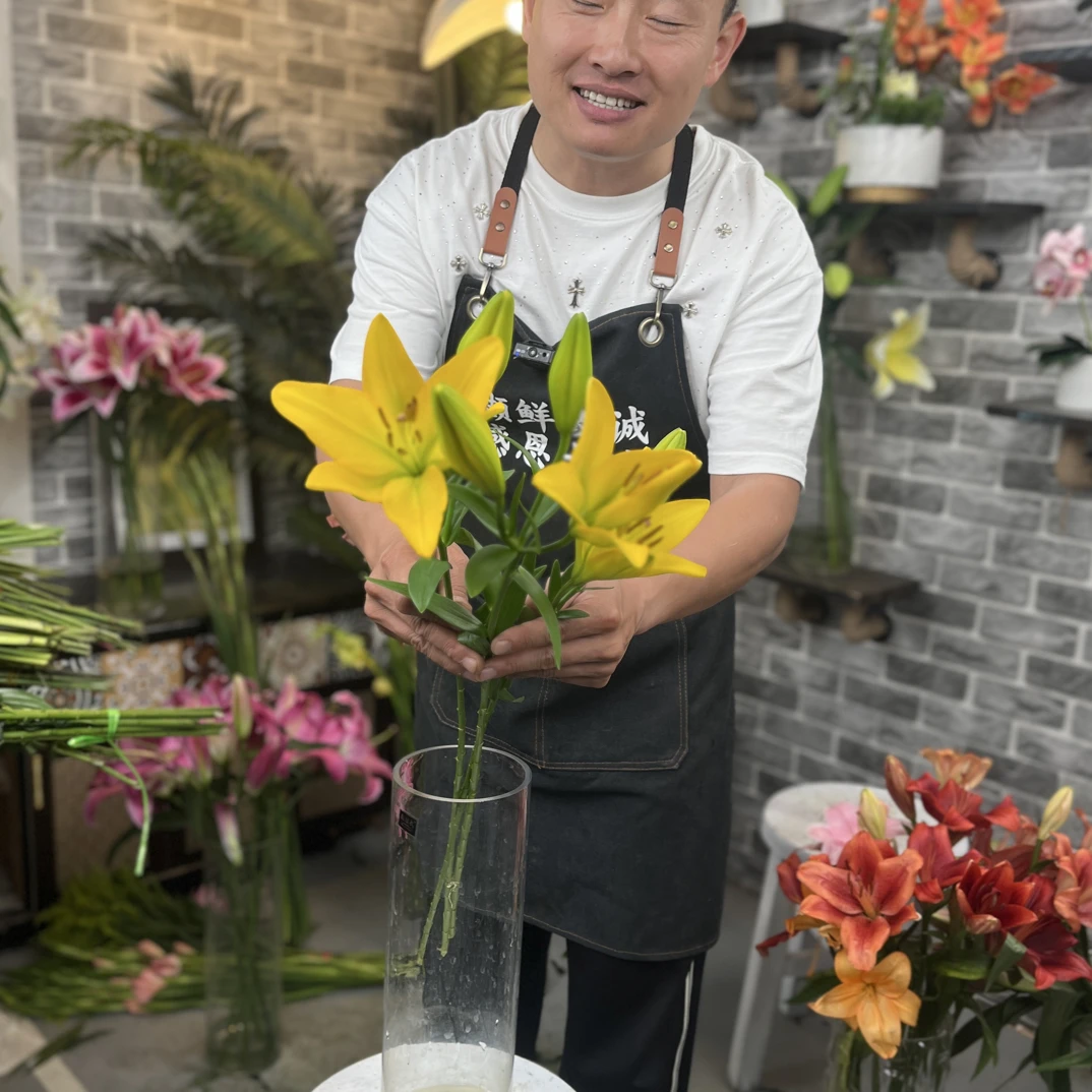 【高端黄色黄天使亚洲百合】东北基地直发鲜切花