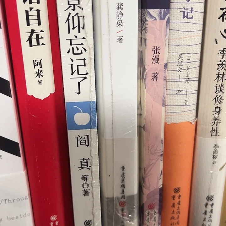 改革嘎哥改革的书