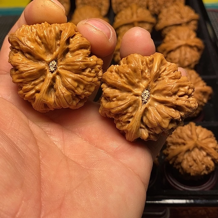 把件文玩核桃41➕大粗筋