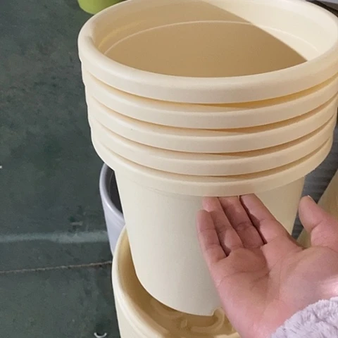 树脂四季4号5个无托米黄