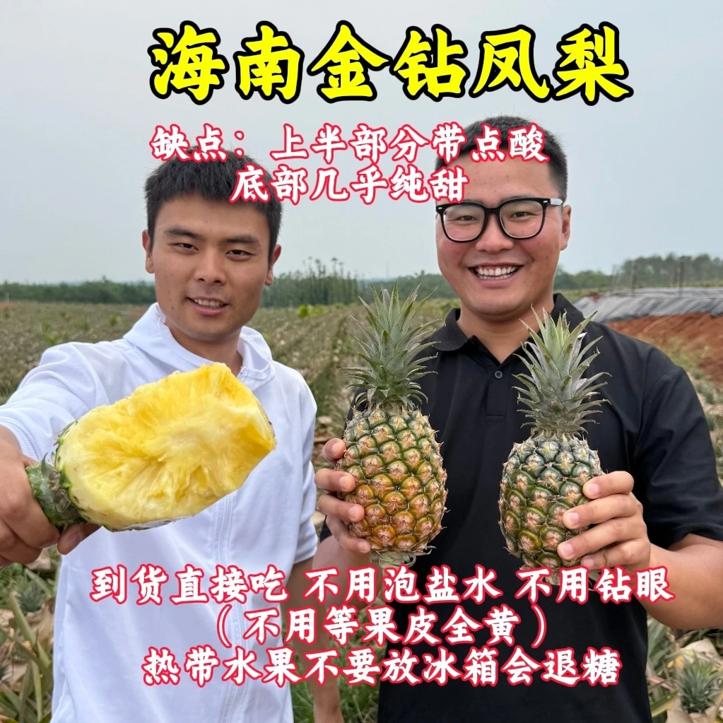铁娃鲜果 顺丰快递 海南金钻凤梨4.5-5斤香甜新鲜采摘「海南直发」