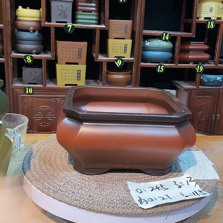 紫砂花盆紫砂花盆
