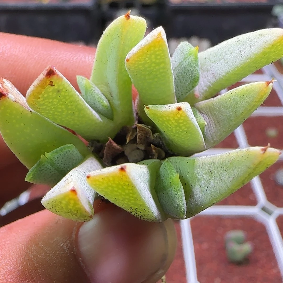 开播福利了解一下。345