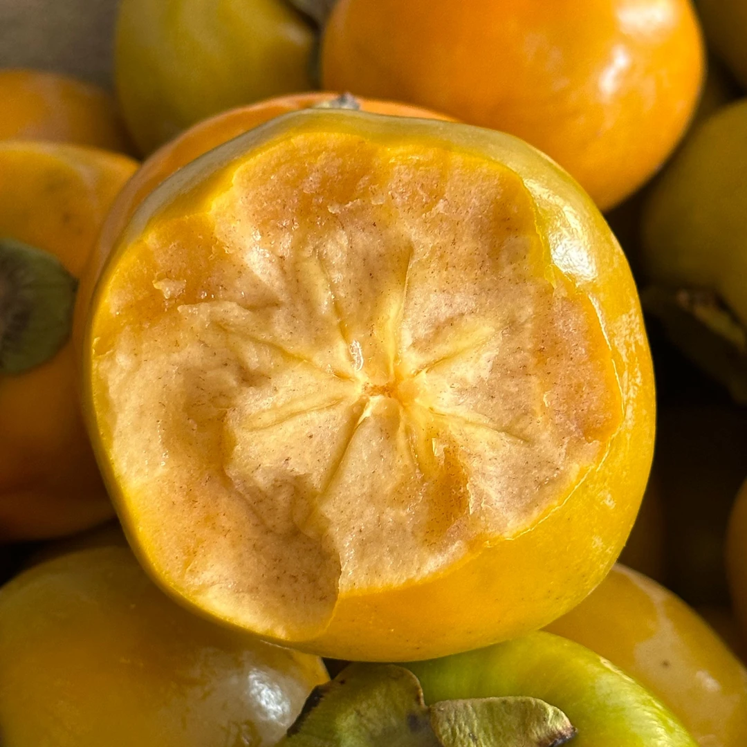 脆柿子新鲜水果阳丰柿子巧克力脆柿陕西山西多仓发货