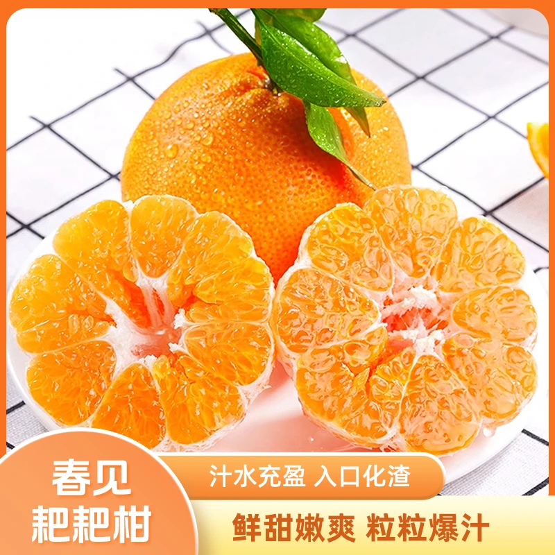 四川春见耙耙柑新鲜水果应季橘子整箱包邮