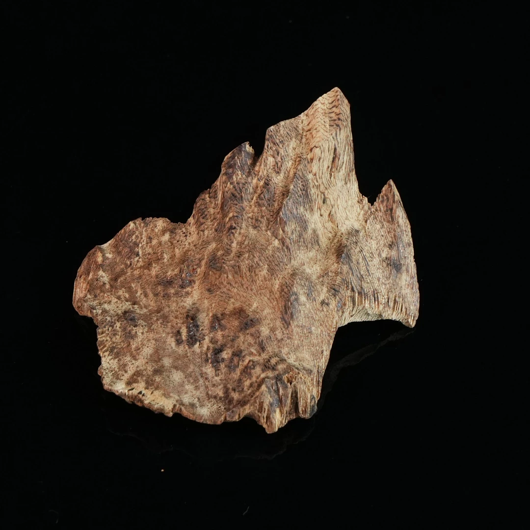 A4770老挝沉香软丝9分沉包头料9.2x9.6x1.4cm 21.72g