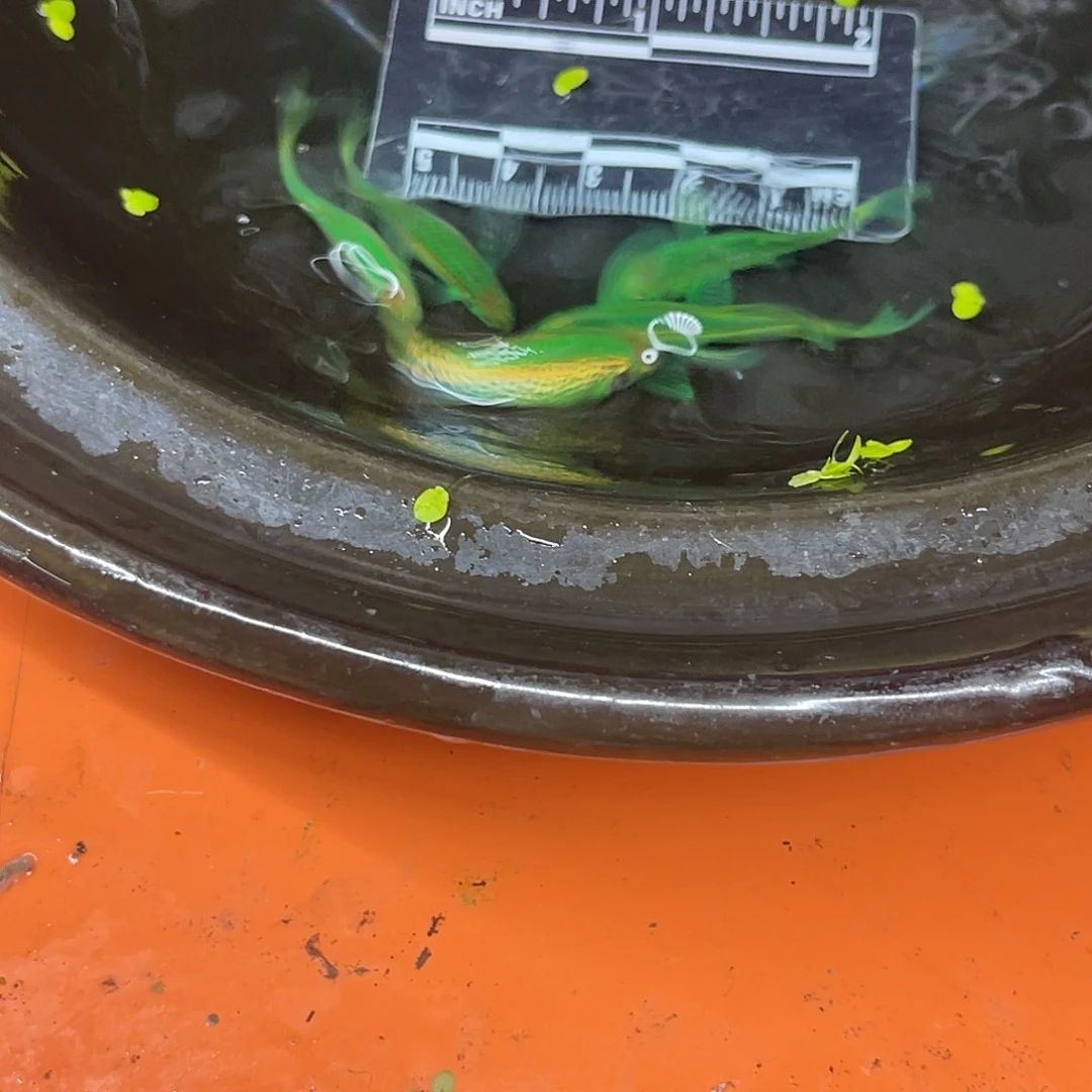 海水41号哈哈哈哈哈哈