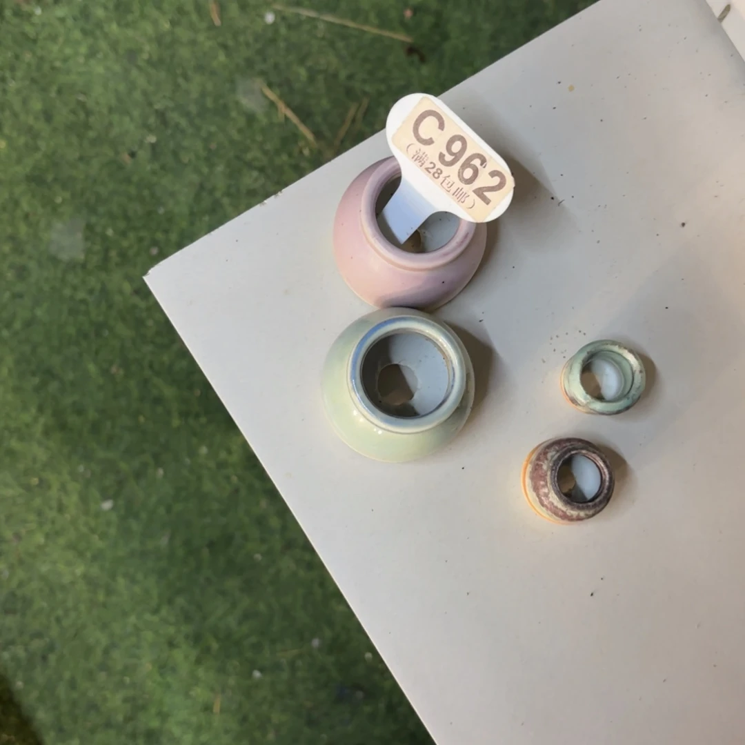 明***媚C962两个盆一物一拍