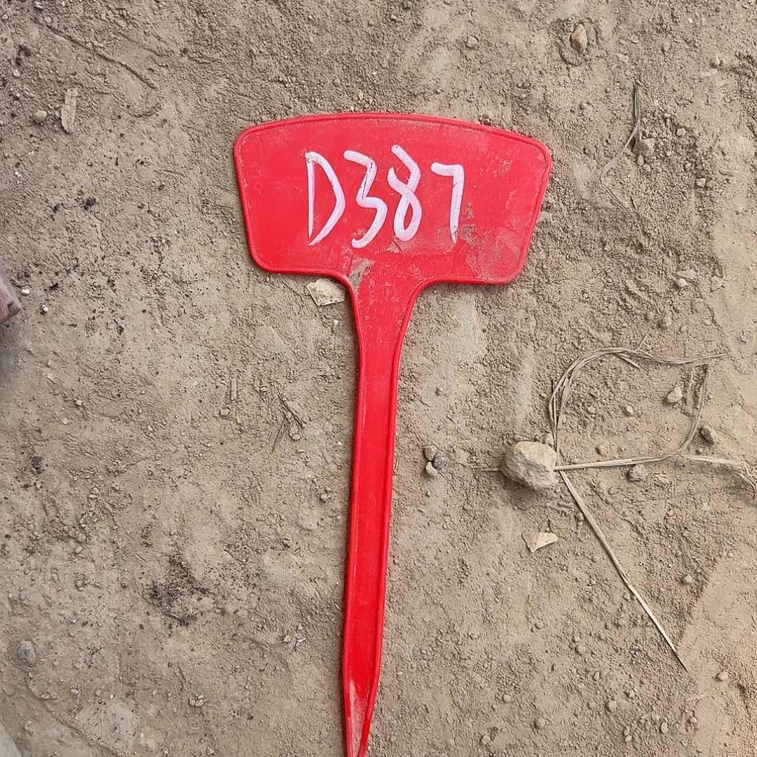 D387,混色侧牙8颗4cm瑕疵歪头