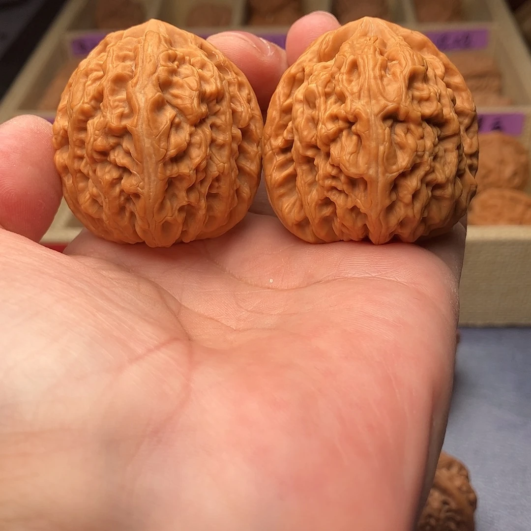 文玩核桃把件红锦鲤45（头货精品