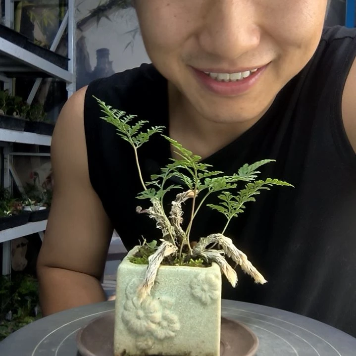 w****.中青园艺一物一拍60