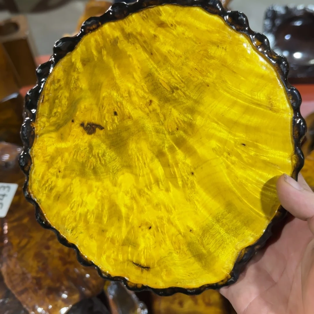 樟科（黄金檀）?*行黄金樟干泡