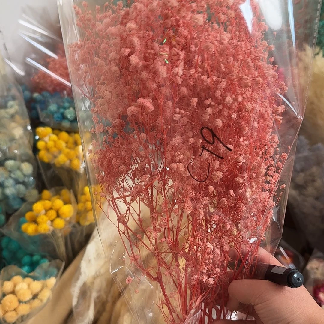 C79号浅粉色满天星