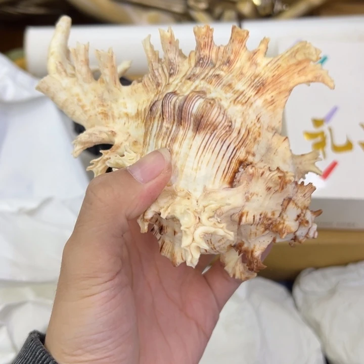 海外陶瓷茶具日化