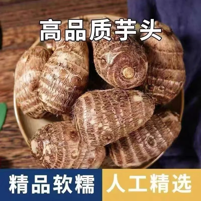 山东新鲜毛芋头粉糯香甜细腻嫩滑当季蔬菜大果3斤装