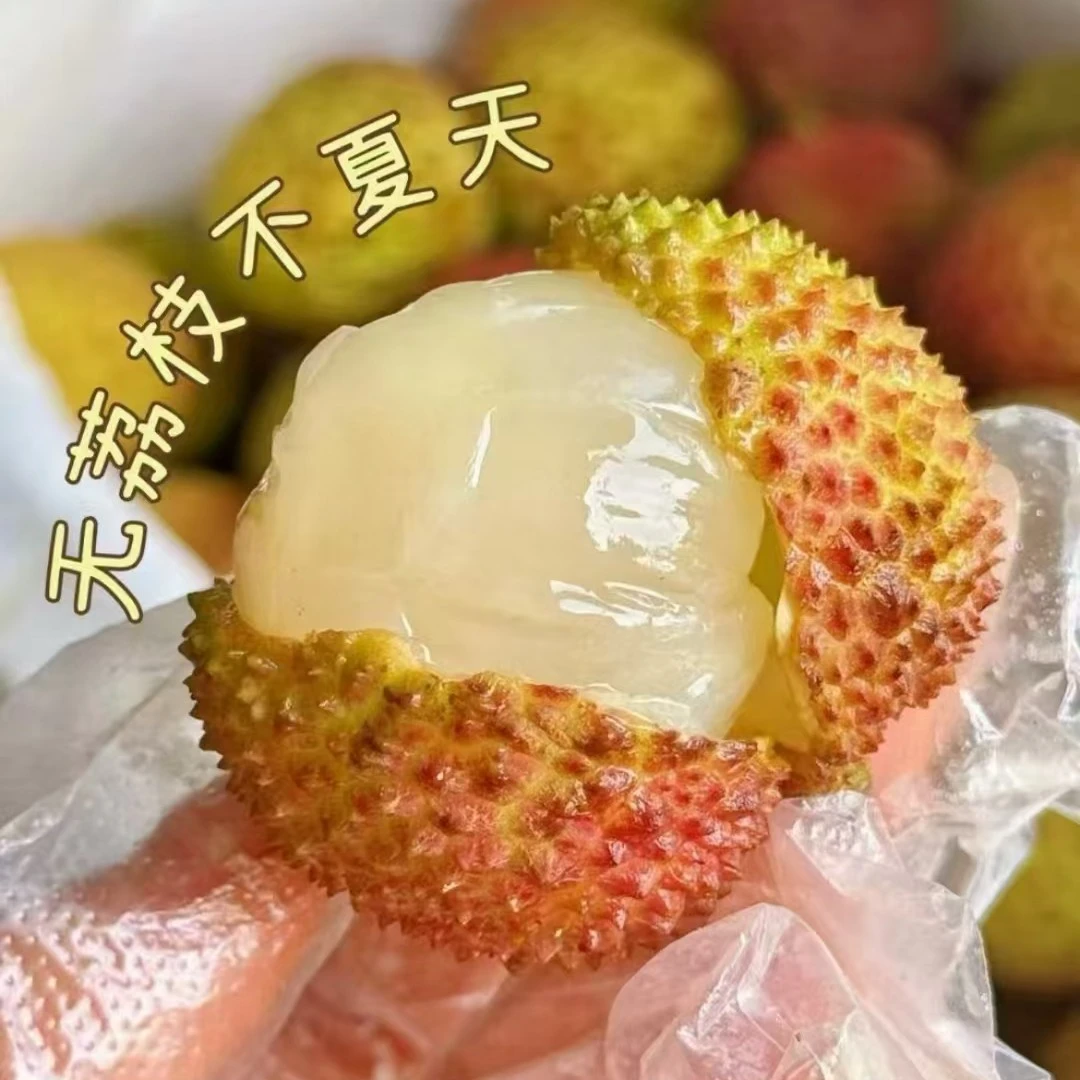 妃子笑荔枝一斤左右海南省