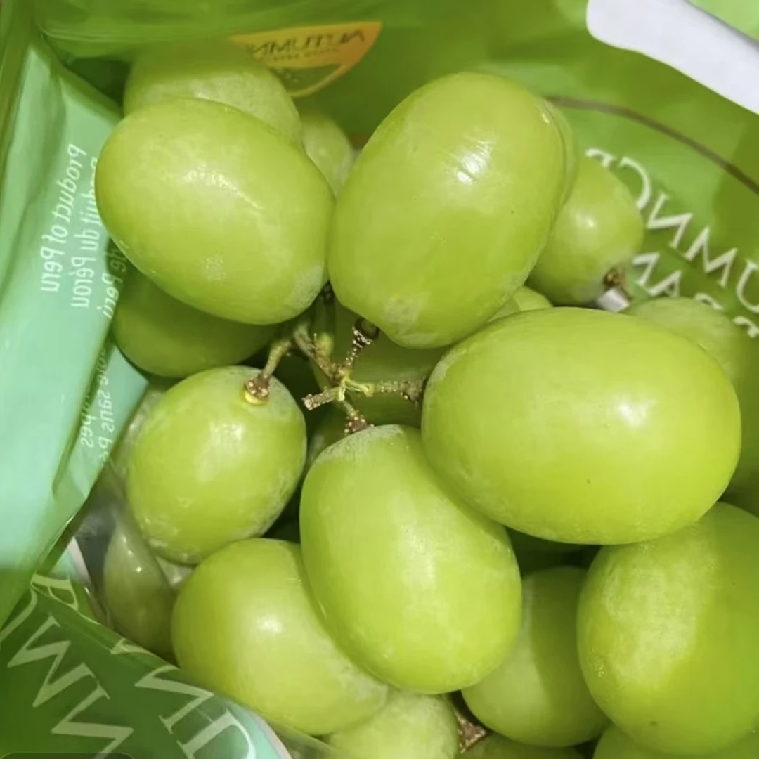 【特价无售后】澳洲青提子2斤