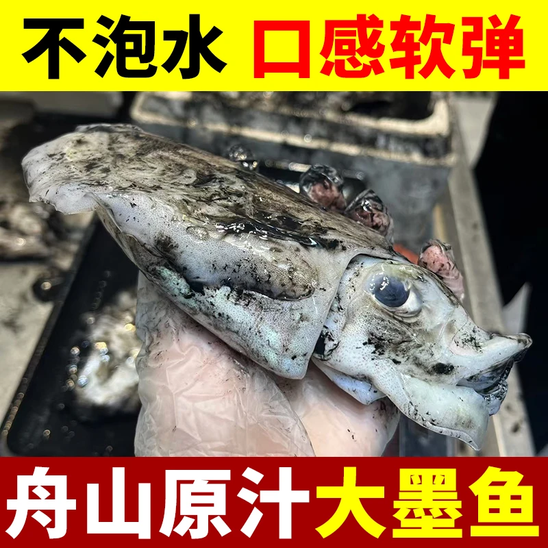 （超大号）野生墨鱼 舟山内港目鱼干板货 新鲜海捕急冻发货 顺丰