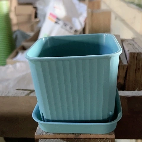 树脂多肉方盆10口10个蓝➕托