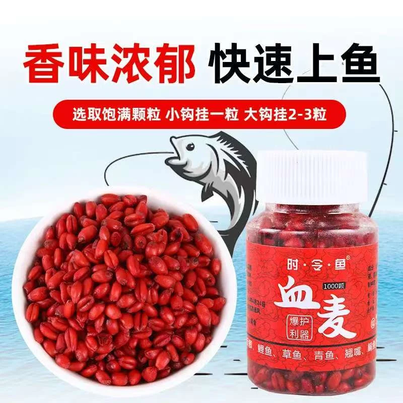 麦粒红虫麝香鲫鱼鱼饵颗粒饵料野钓诱钓两用台钓手竿鲫鲤饵料
