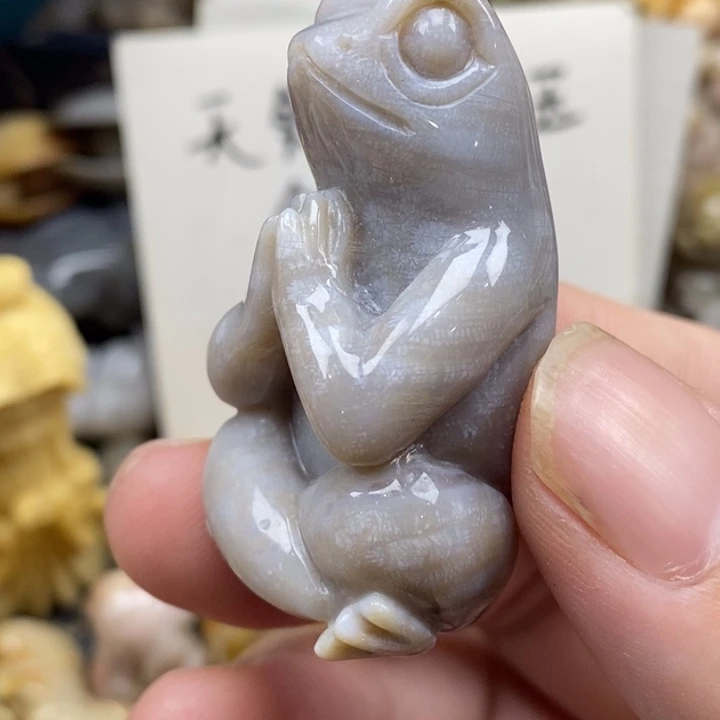 硅化珊瑚（珊瑚玉）未镶嵌颈饰