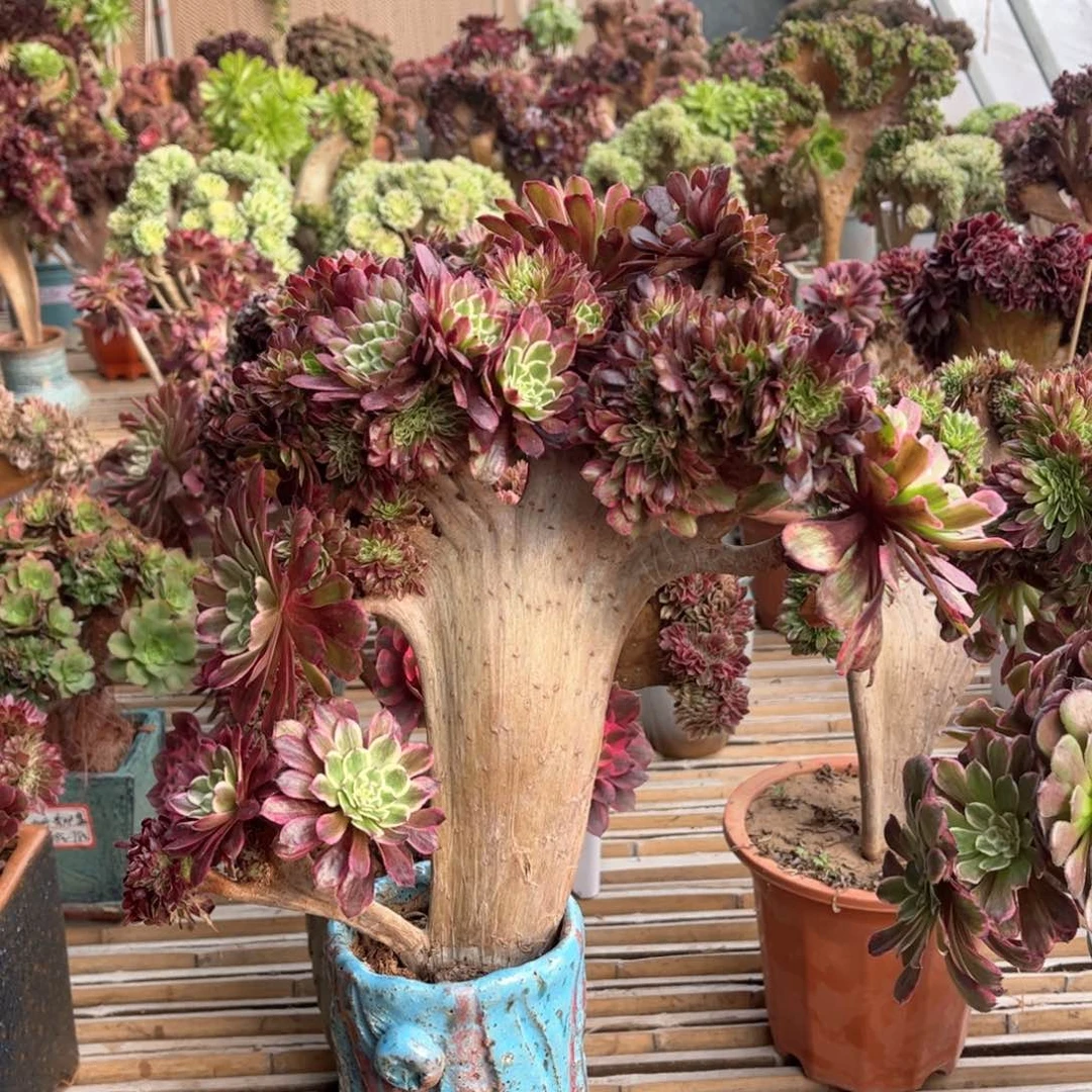 水墨画竖版精品福利