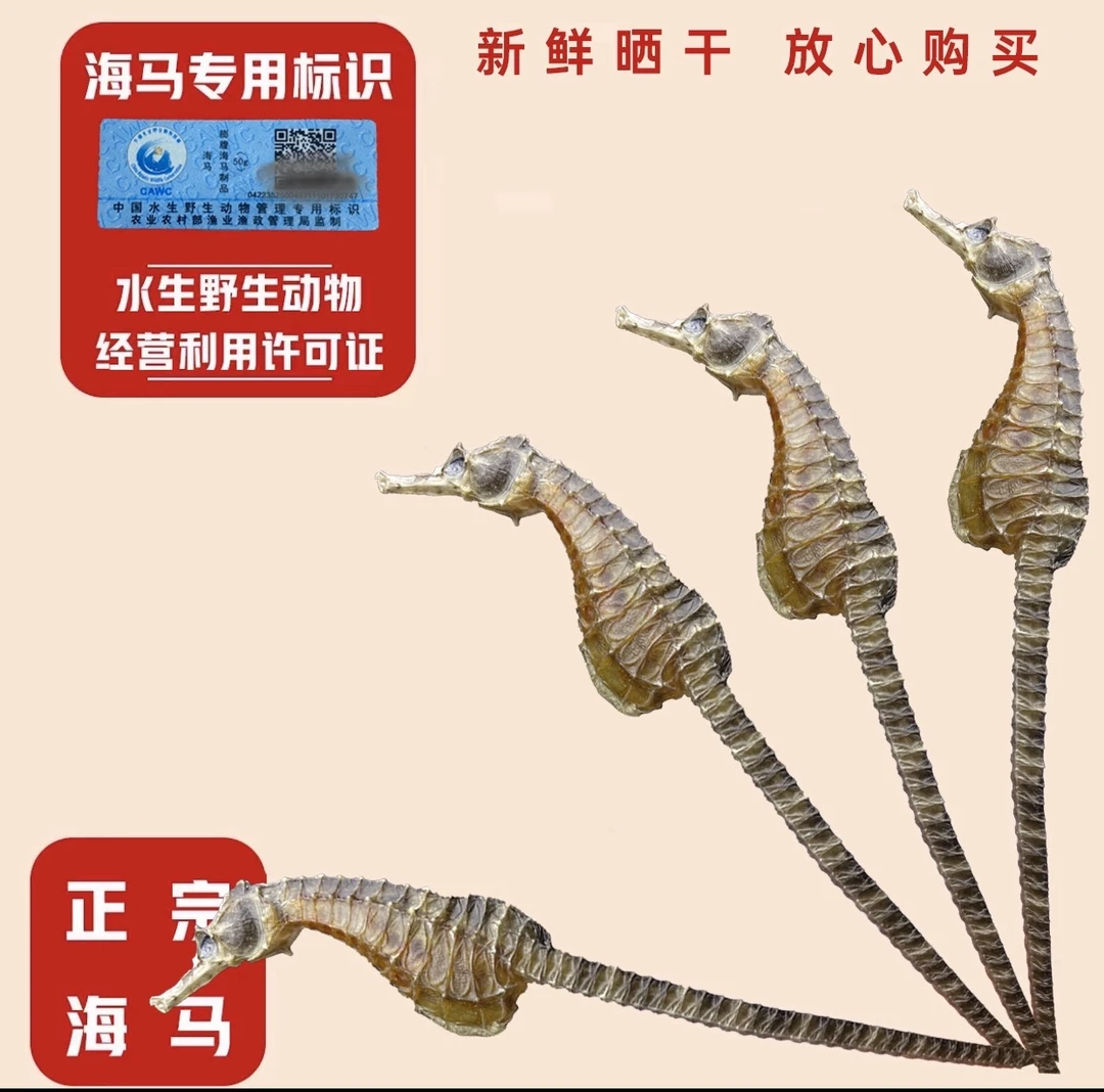 生晒海马干货公母配对可炖汤泡酒滋补佳品