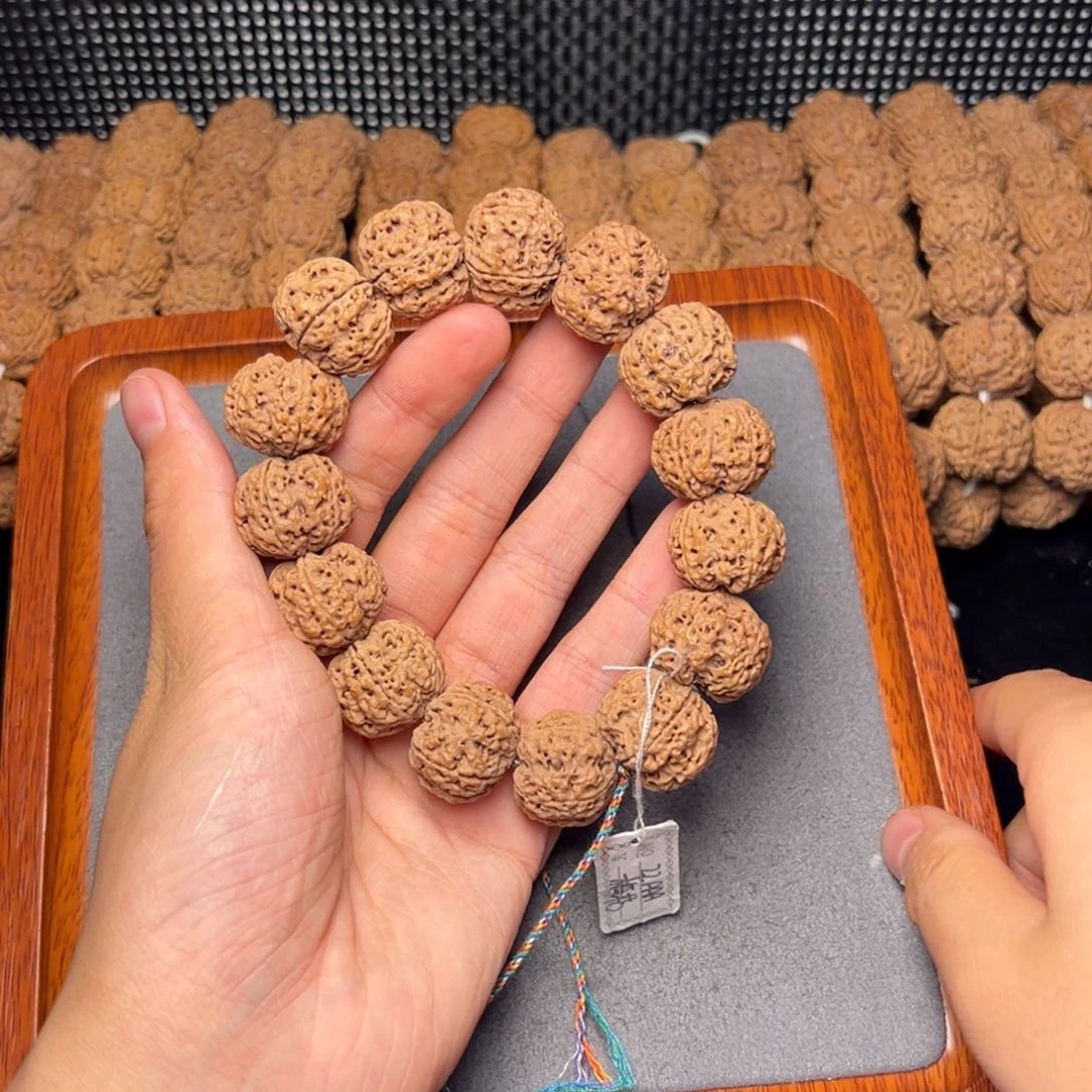 菩提16号尼泊尔大金刚21五星梅花爆肉