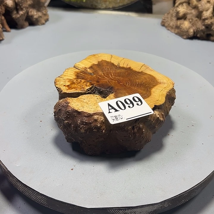 小****大果紫檀（缅甸花梨）