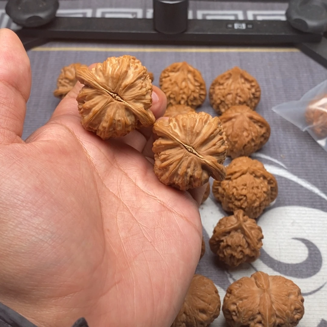 *****文玩核桃吊坠全品白狮子40