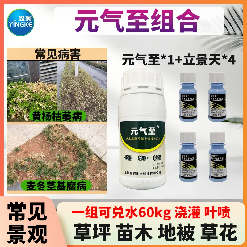 元气至组合叶面肥200ml*1瓶复配杀菌剂15克*4瓶
